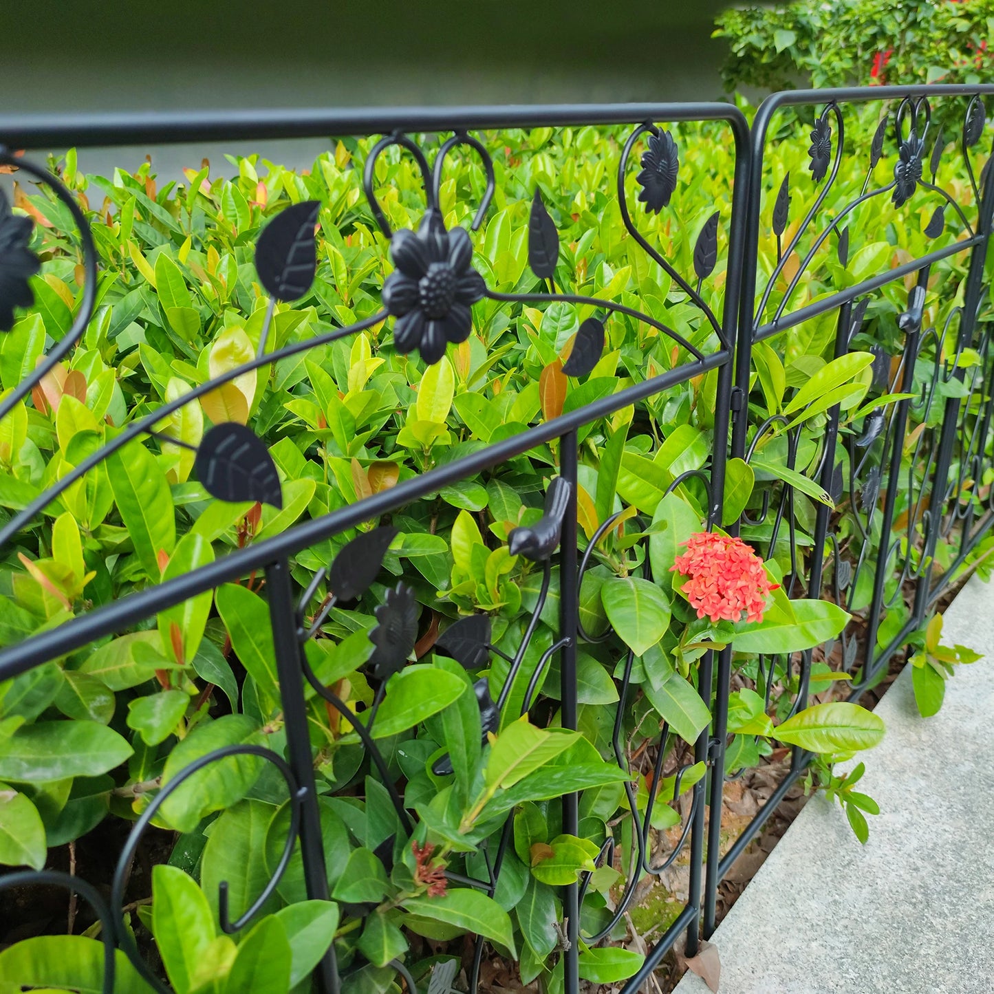 Five Pack Steel Decorative Garden Fence Panels Metal Border