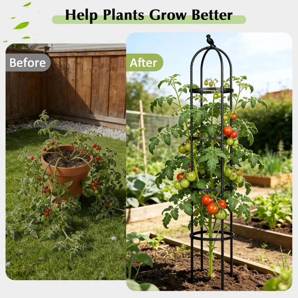 Rustproof Metal Garden Trellis For Tomatoes Roses Grapes Cucumbers