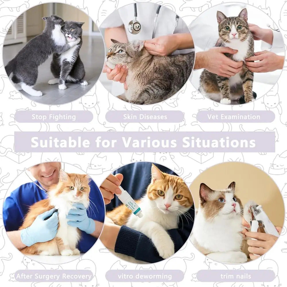 Cat Postoperative Cone Collar For Recovery And Licking Protection