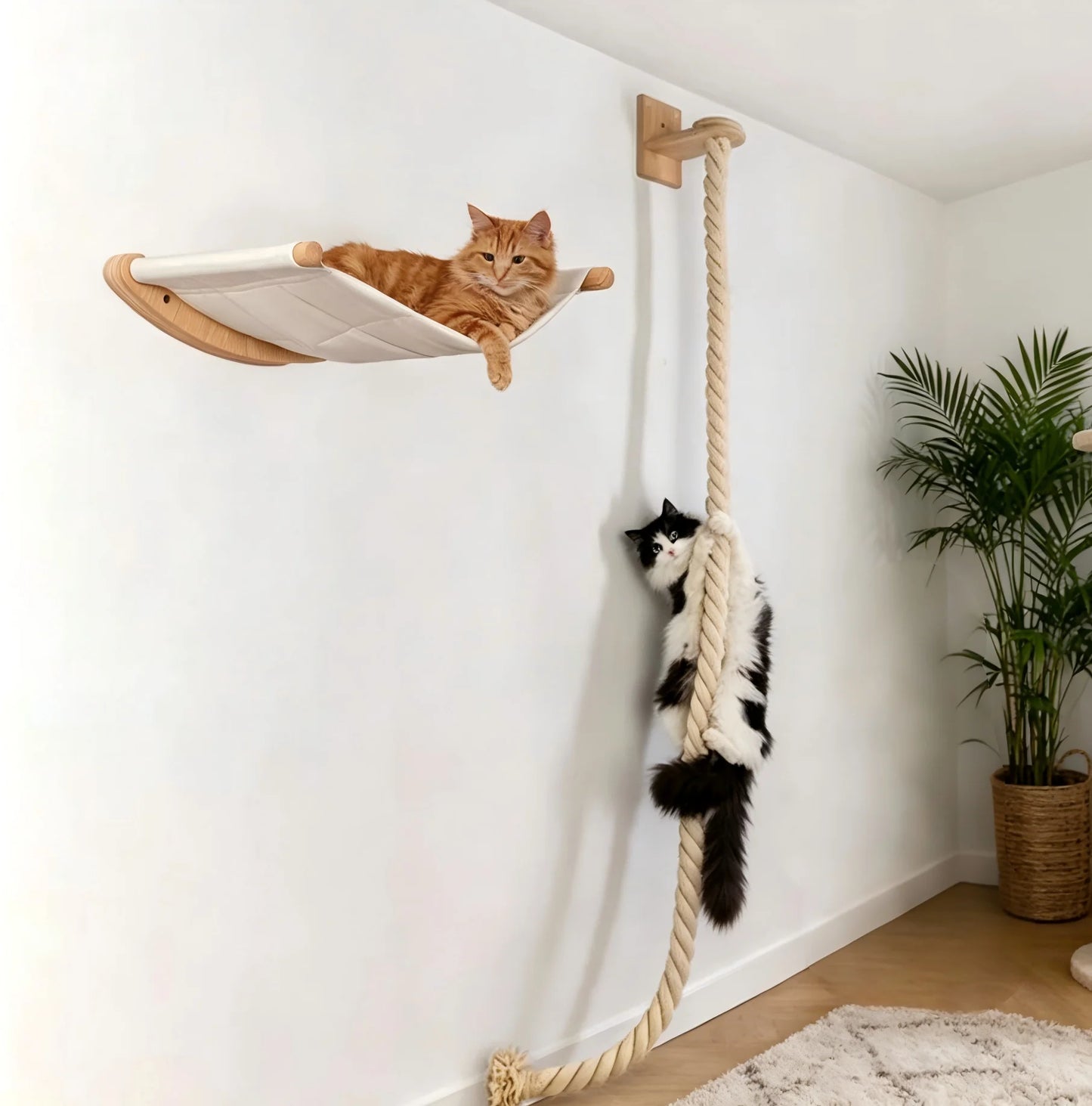 CWV Wall Mounted Cat Hammock Set With Climbing Shelves