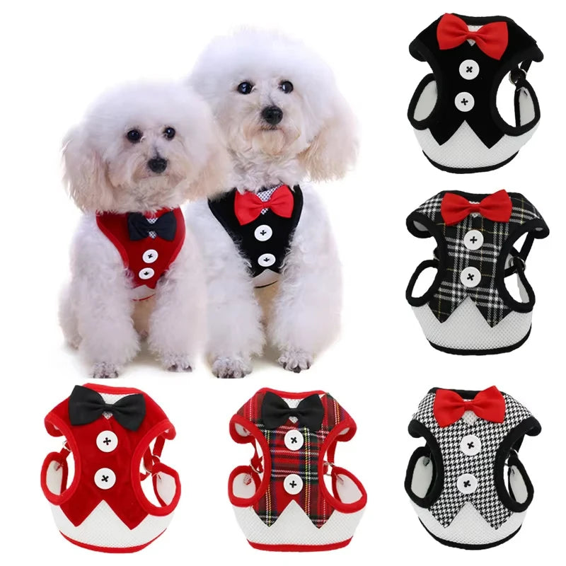 Elegant Bowtie Pet Harness Leash Set For Cats And Dogs