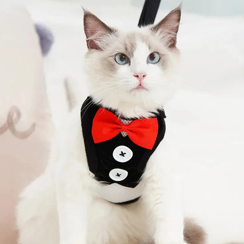 Elegant Bowtie Pet Harness Leash Set For Cats And Dogs