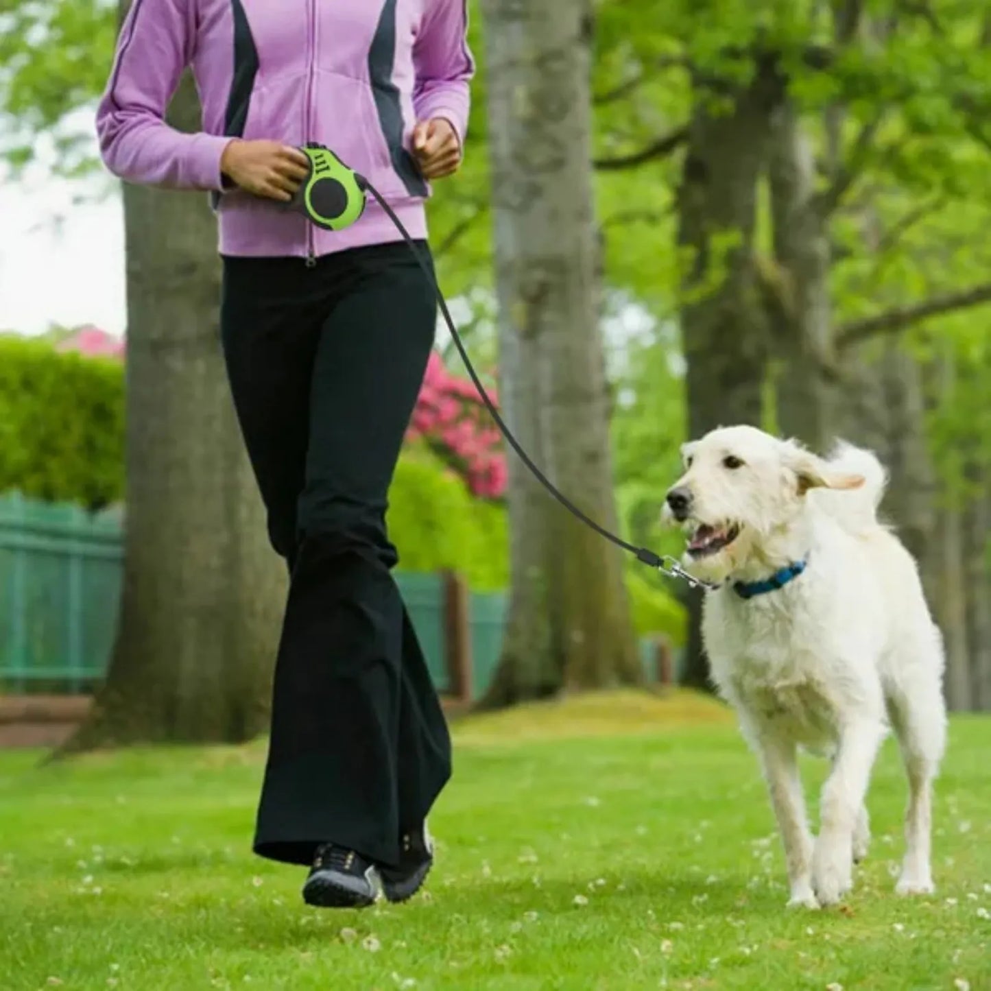 Automatic Retractable Dog Leash With Collar For Walking Pets
