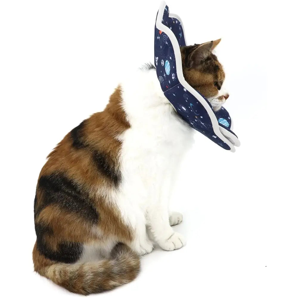Adjustable Recovery Collar For Postoperative Care Cat Elizabethan Collar