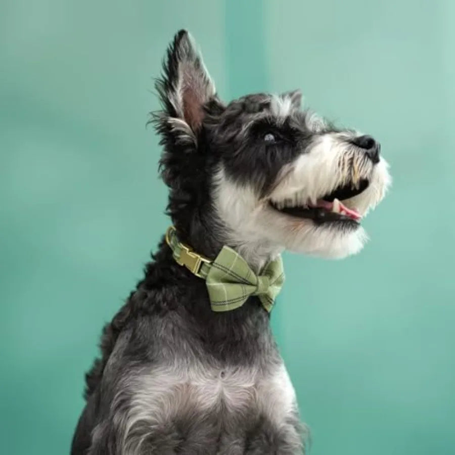 Dog Harness And Leash Set With Bowtie Soft Adjustable Plaid