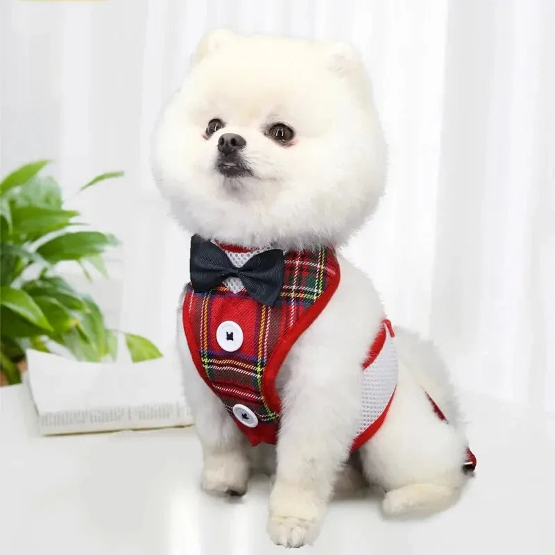 Elegant Bowtie Pet Harness Leash Set For Cats And Dogs