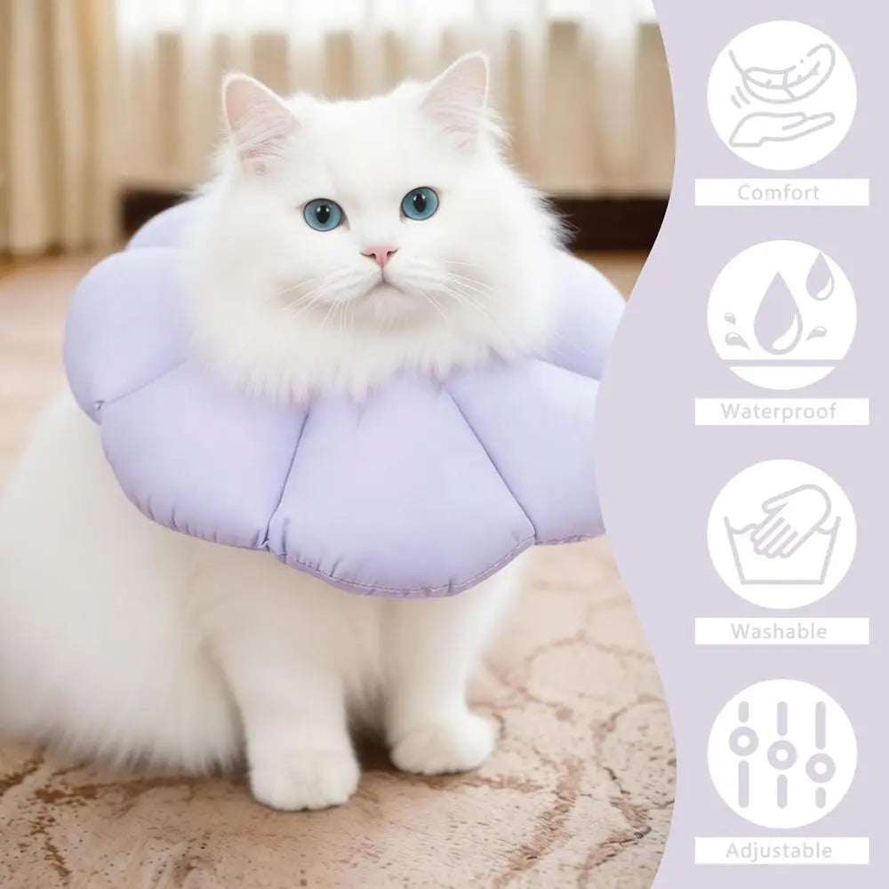 Cat Postoperative Cone Collar For Recovery And Licking Protection