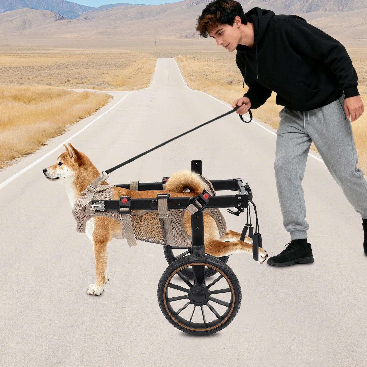 Adjustable Aluminum Alloy 2-Wheel Dog Wheelchair, Hind Leg Support Pet Rehabilitation Walking Aid Trolley, Supports Dogs Up to 65kg XXL /L for Injured, Paralyzed, Arthritic Dogs