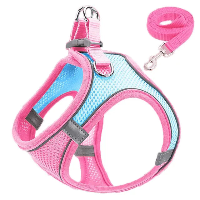 Reflective Cat Harness And Adjustable Leash Set For Cats And Small Dogs