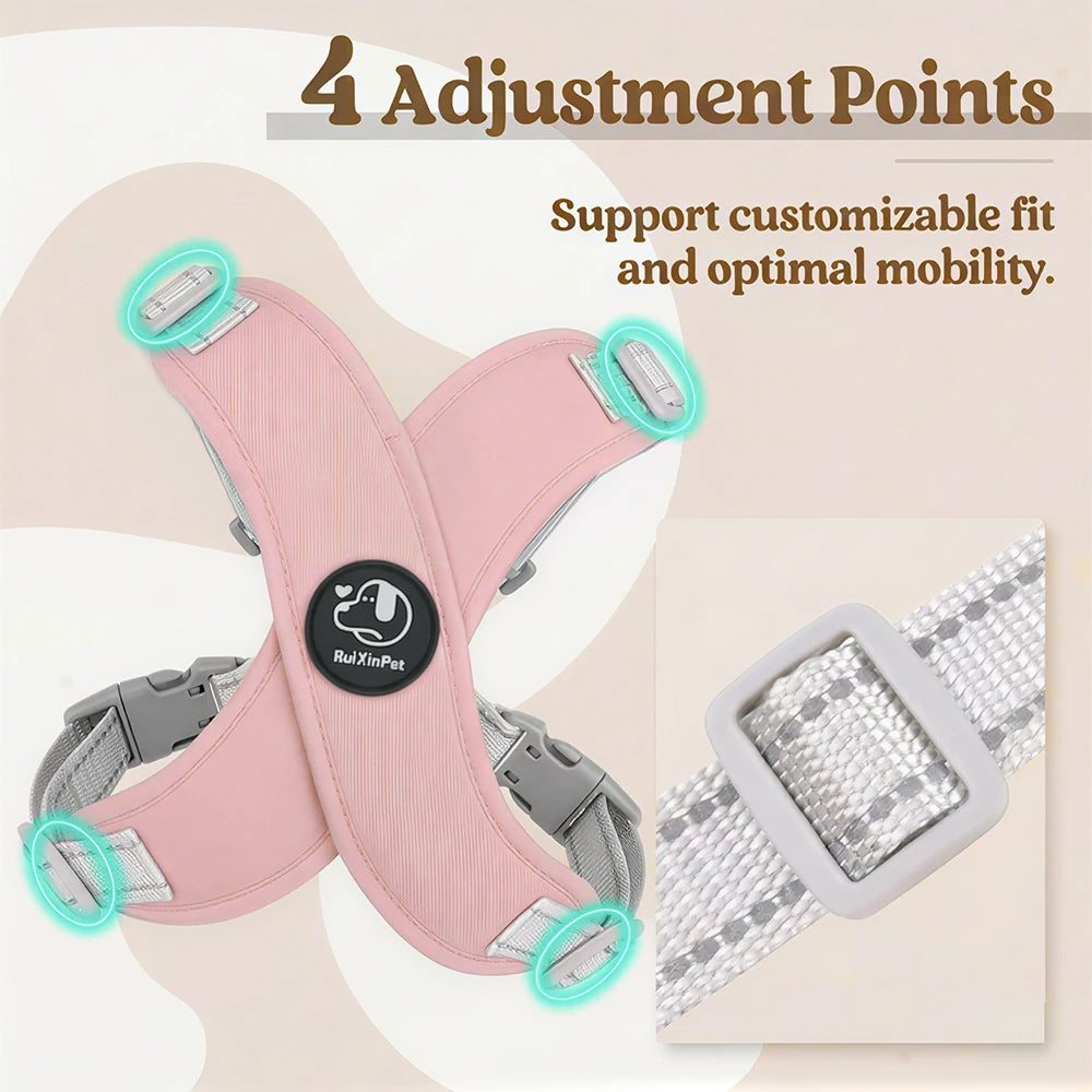 Reflective Adjustable Dog Harness Leash Set With Metal D Ring Chest Strap