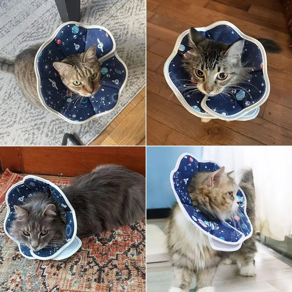 Adjustable Recovery Collar For Postoperative Care Cat Elizabethan Collar