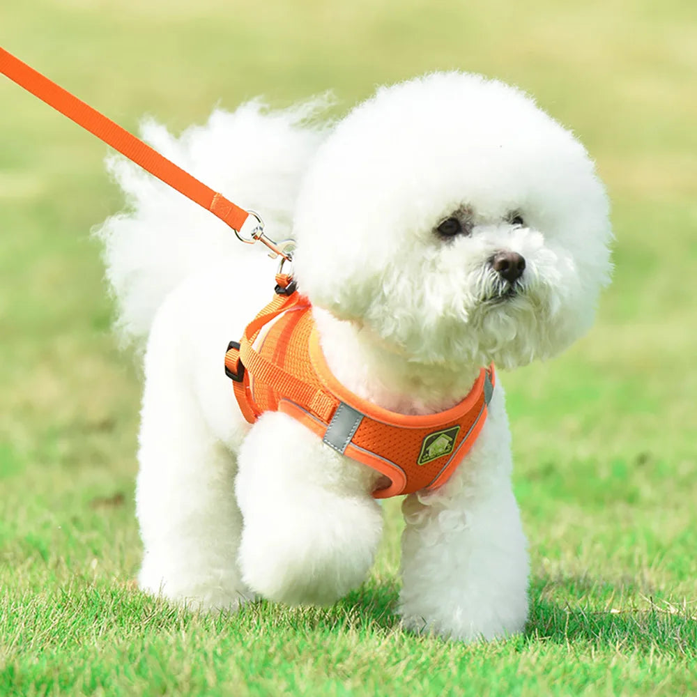Dog Harness Vest Reflective Breathable Polyester For All Dogs