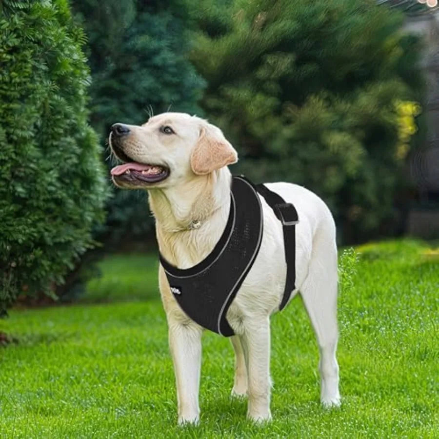 Breathable Dog Harness With Quick Release Buckle Reflective Strips