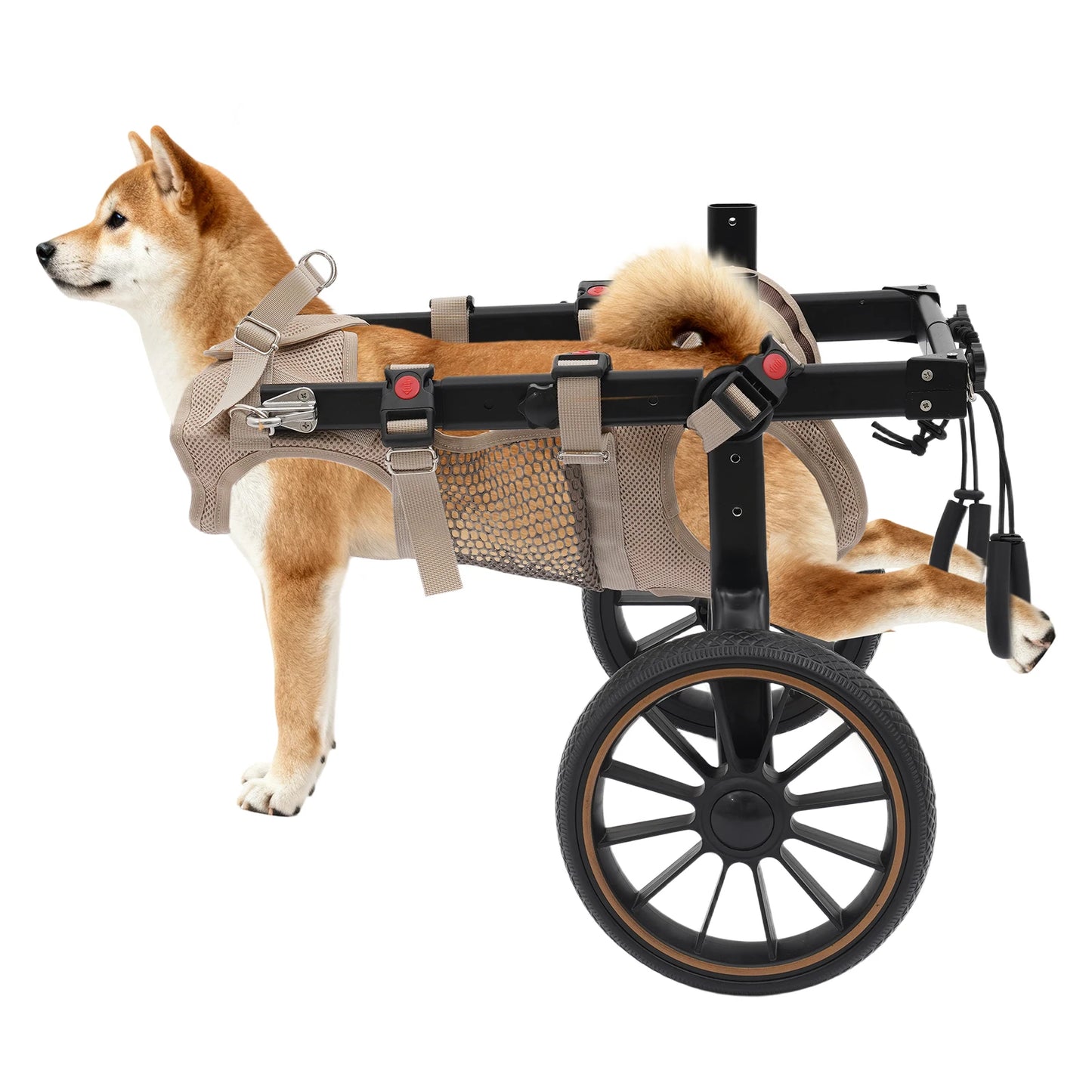 Adjustable Aluminum Alloy 2-Wheel Dog Wheelchair, Hind Leg Support Pet Rehabilitation Walking Aid Trolley, Supports Dogs Up to 65kg XXL /L for Injured, Paralyzed, Arthritic Dogs