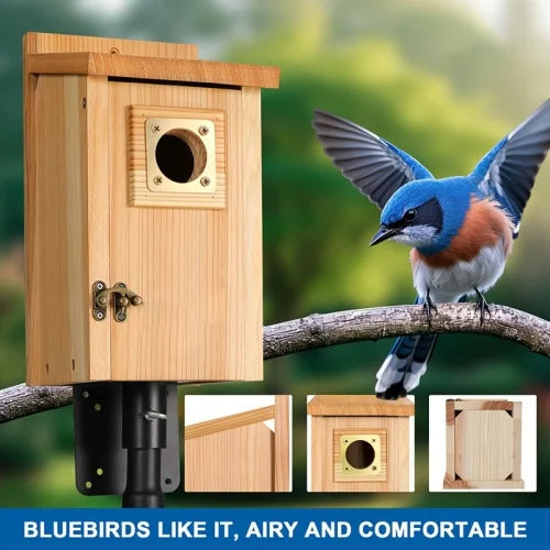 2pcs Pine Bird Houses with Copper Guard - Outdoor Finch, Swallow, Wren & Chickadee Nesting Boxes,Attracting Small Birds