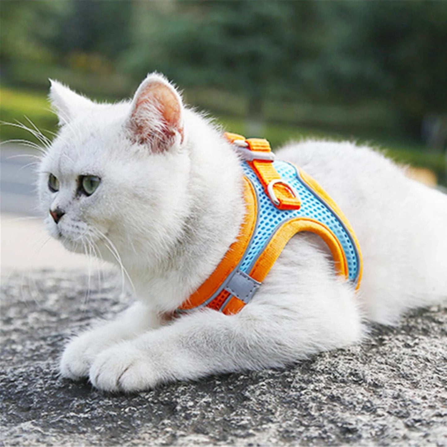 Reflective Cat Harness And Adjustable Leash Set For Cats And Small Dogs