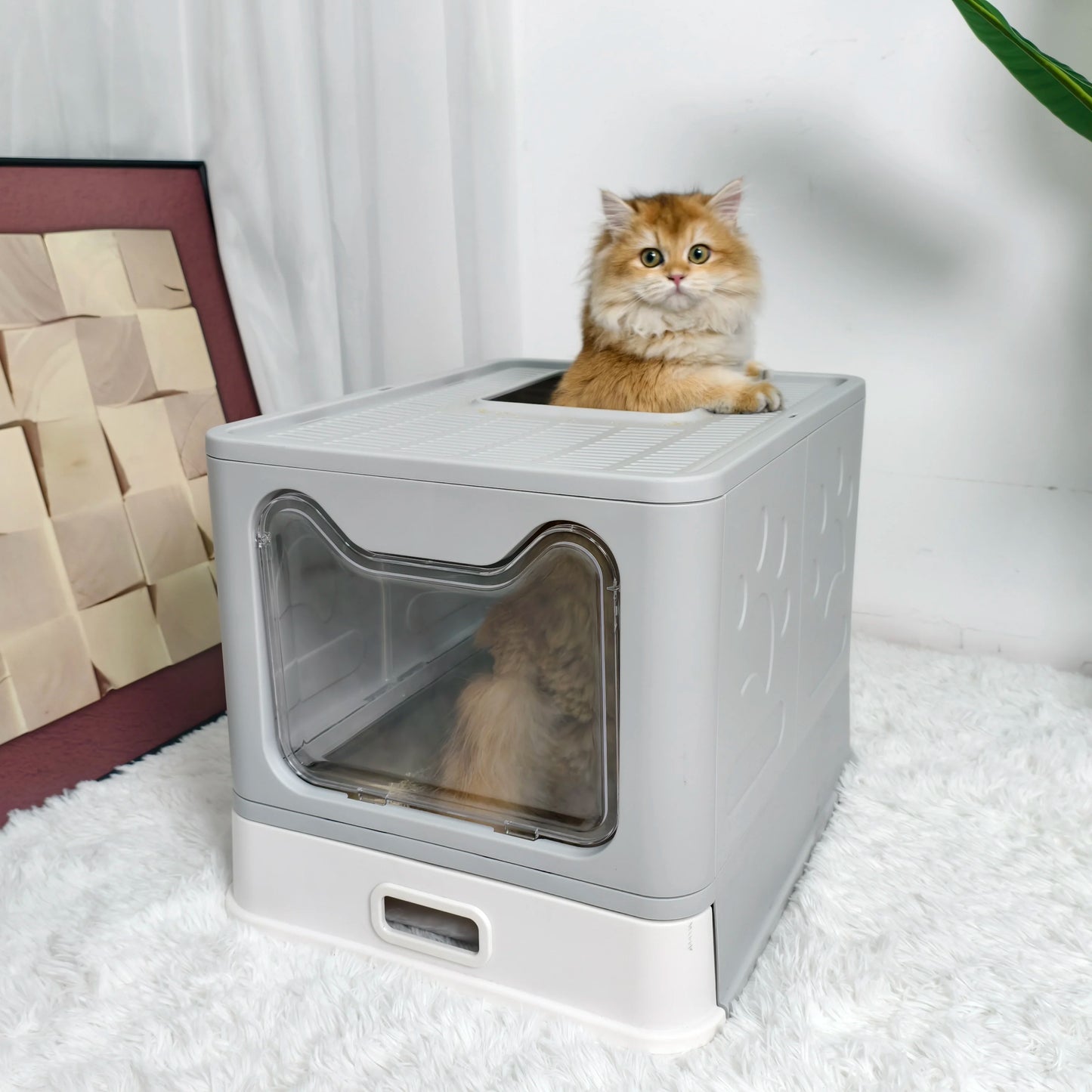 Large Front Entry Cat Litter Box With Top Exit Lid And Scoop