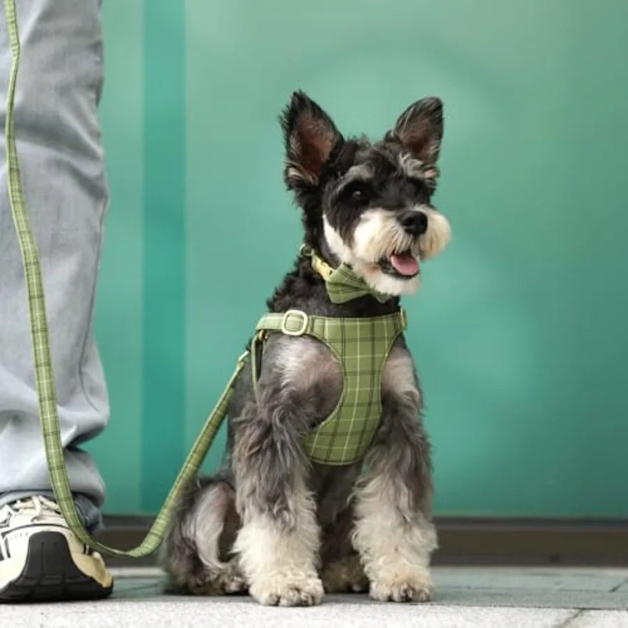 Dog Harness And Leash Set With Bowtie Soft Adjustable Plaid