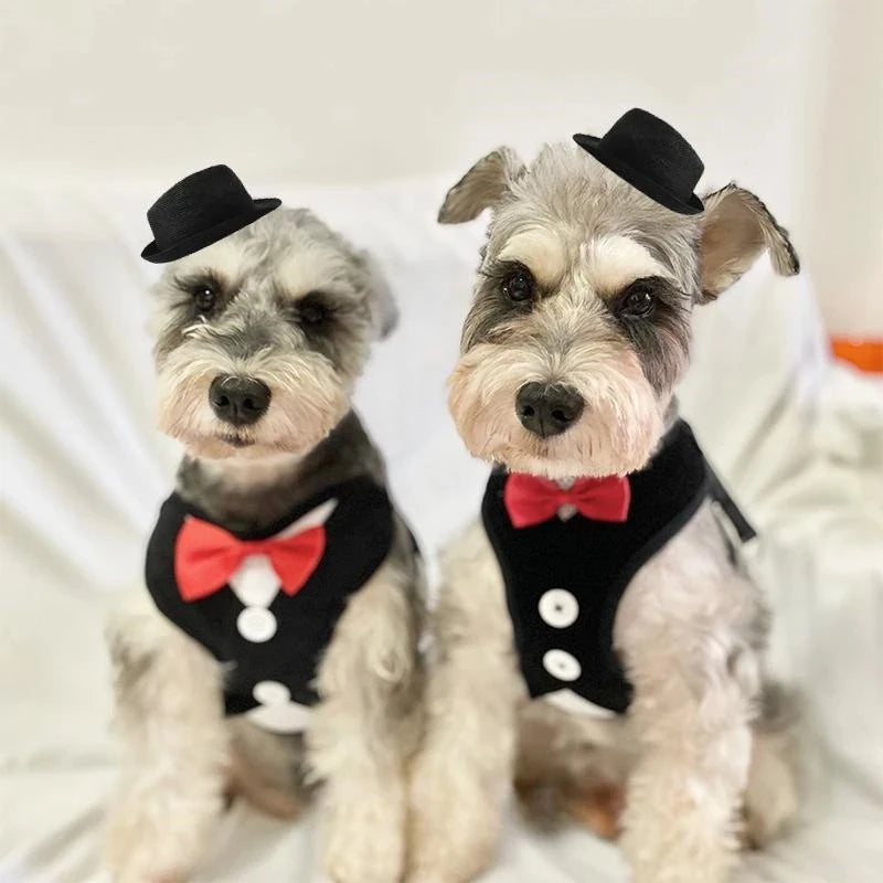 Elegant Bowtie Pet Harness Leash Set For Cats And Dogs