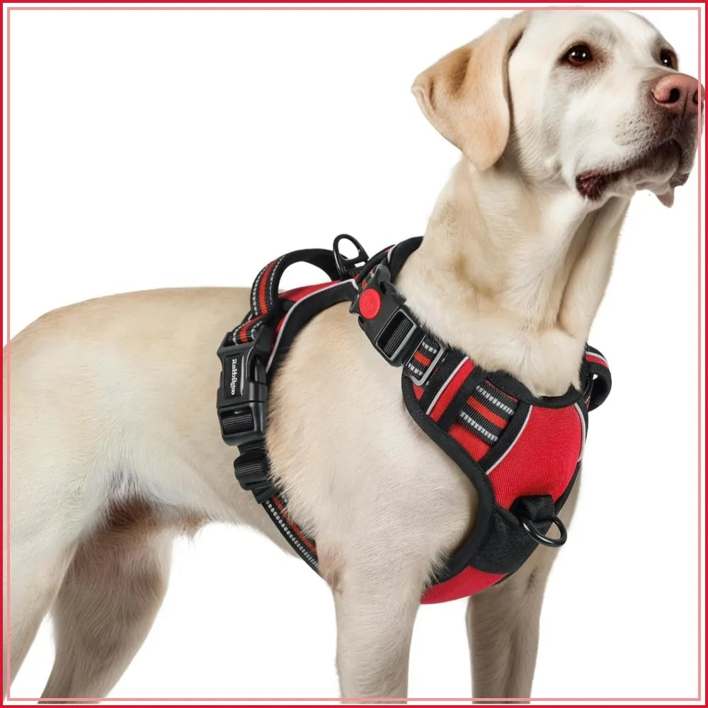 No Pull Dog Harness With 3 Buckles 2 Clips Reflective