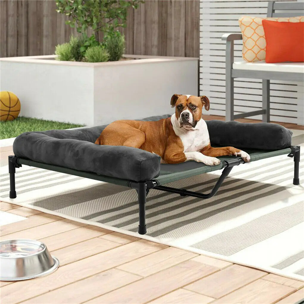 BINGOPAW Elevated Pet Lounger Bed Indoor Outdoor With Detachable Bolster