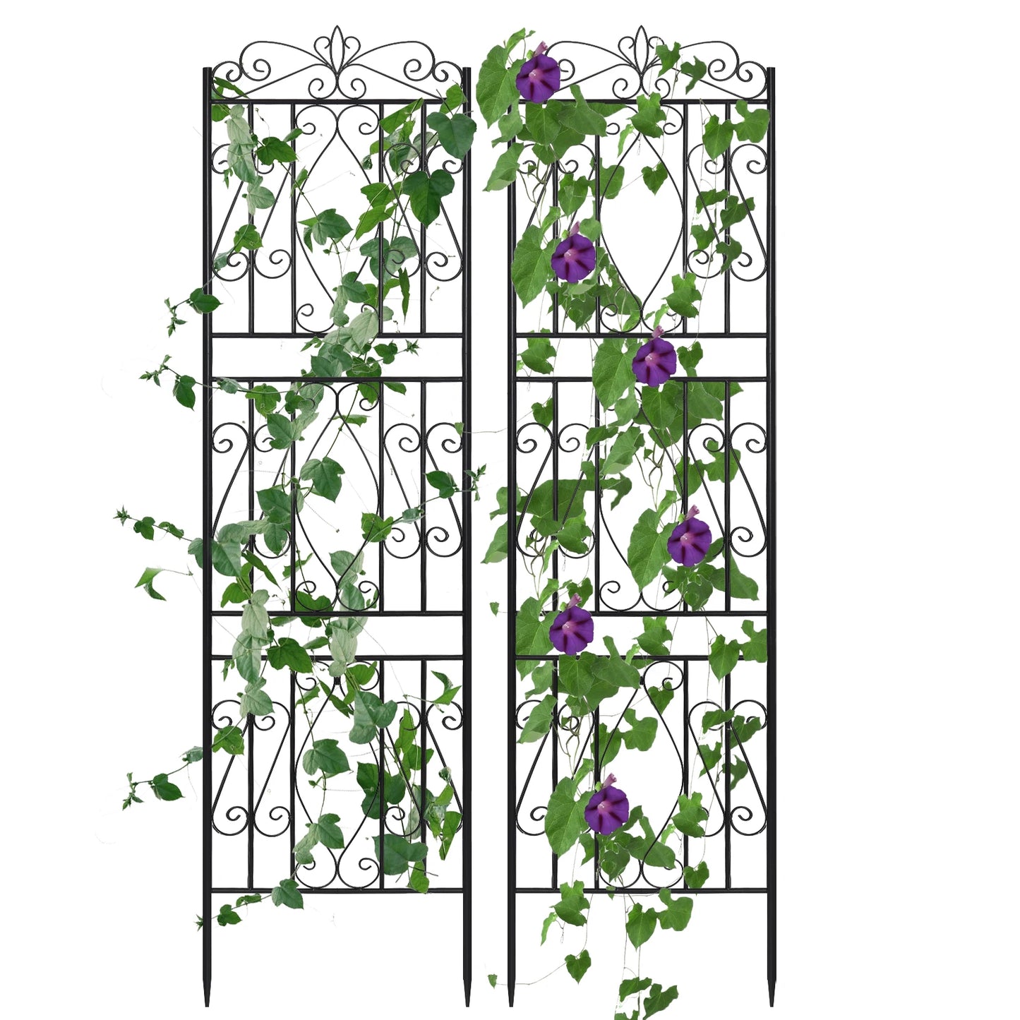 Two Pack Rustproof Metal Garden Trellis for Climbing Plants