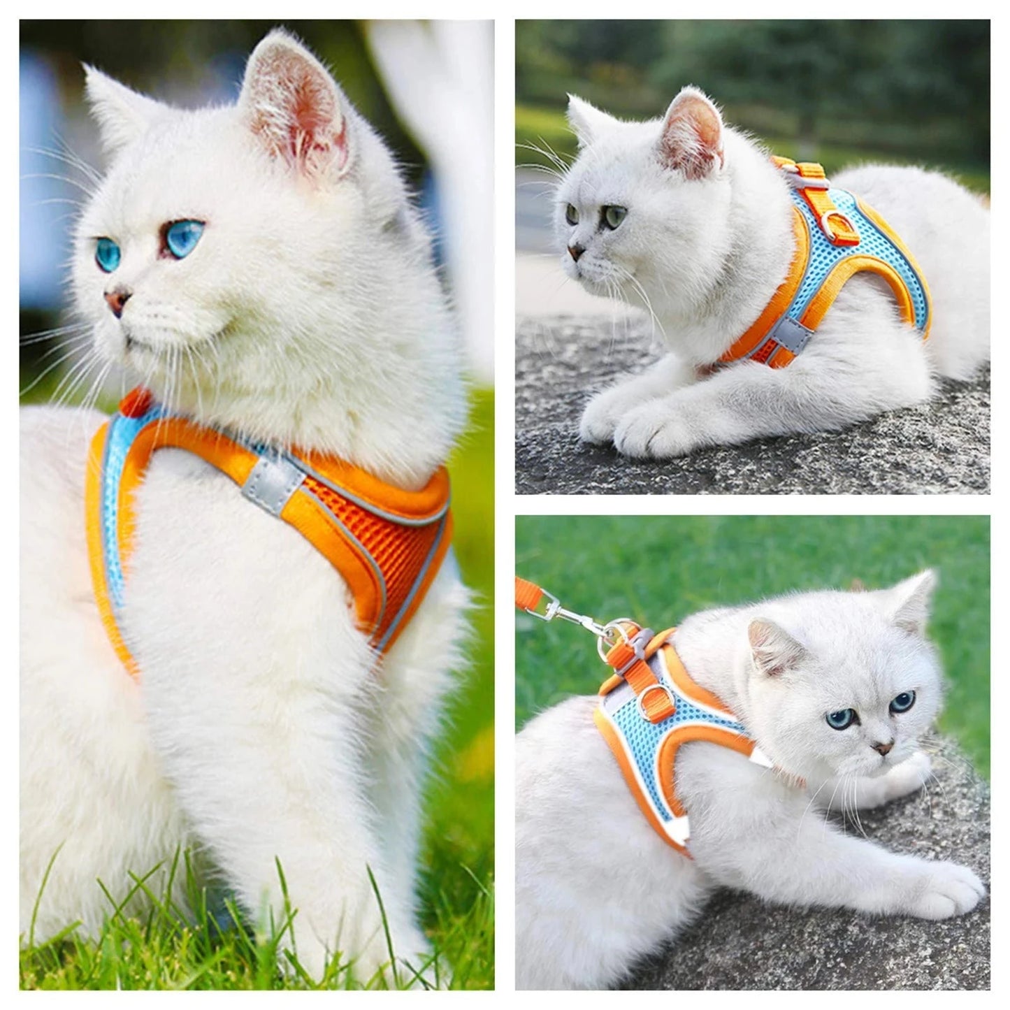 Reflective Cat Harness And Adjustable Leash Set For Cats And Small Dogs