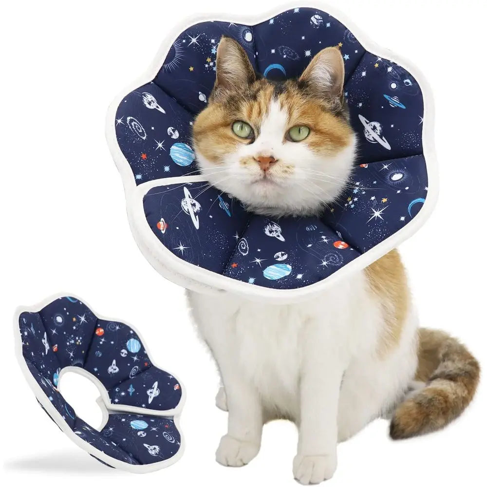 Adjustable Recovery Collar For Postoperative Care Cat Elizabethan Collar