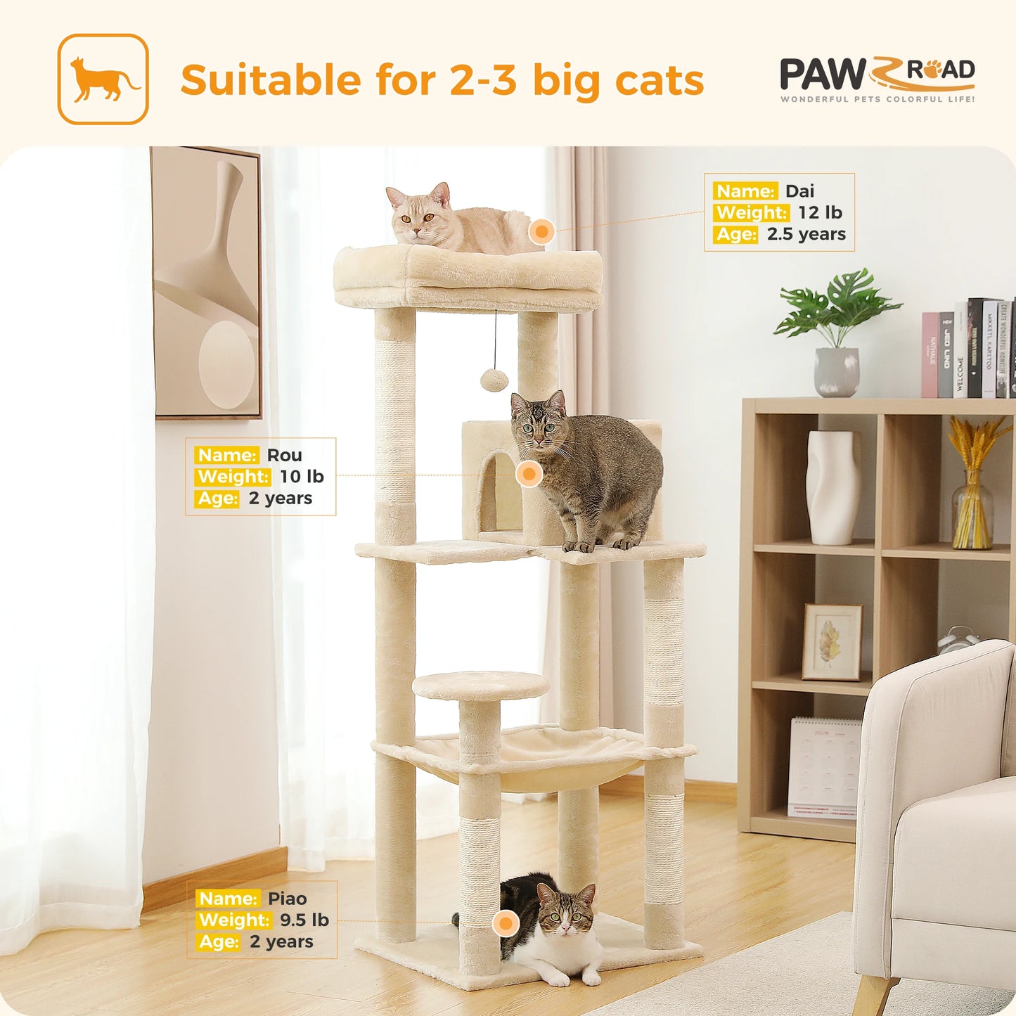 PAWZ Road Five Tier Cat Tree for Indoor Large Cats