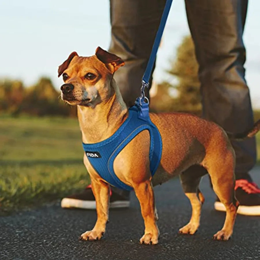 Comfy Dog Harness With Leash Escape Proof Breathable Mesh Vest