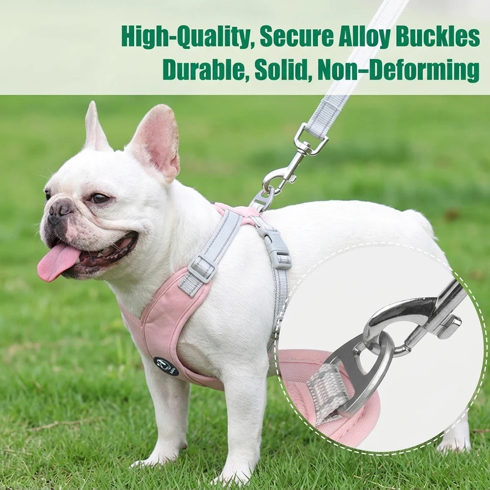 Reflective Adjustable Dog Harness Leash Set With Metal D Ring Chest Strap