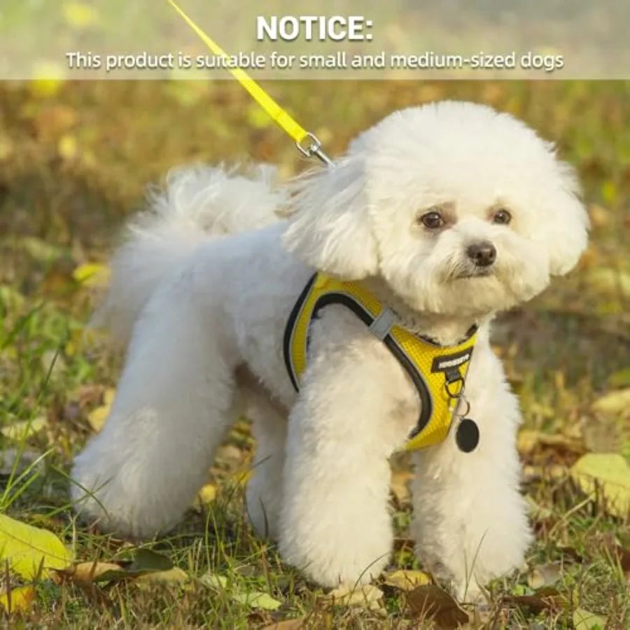 Dog Harness And Leash Set No Pull Reflective Breathable Vest