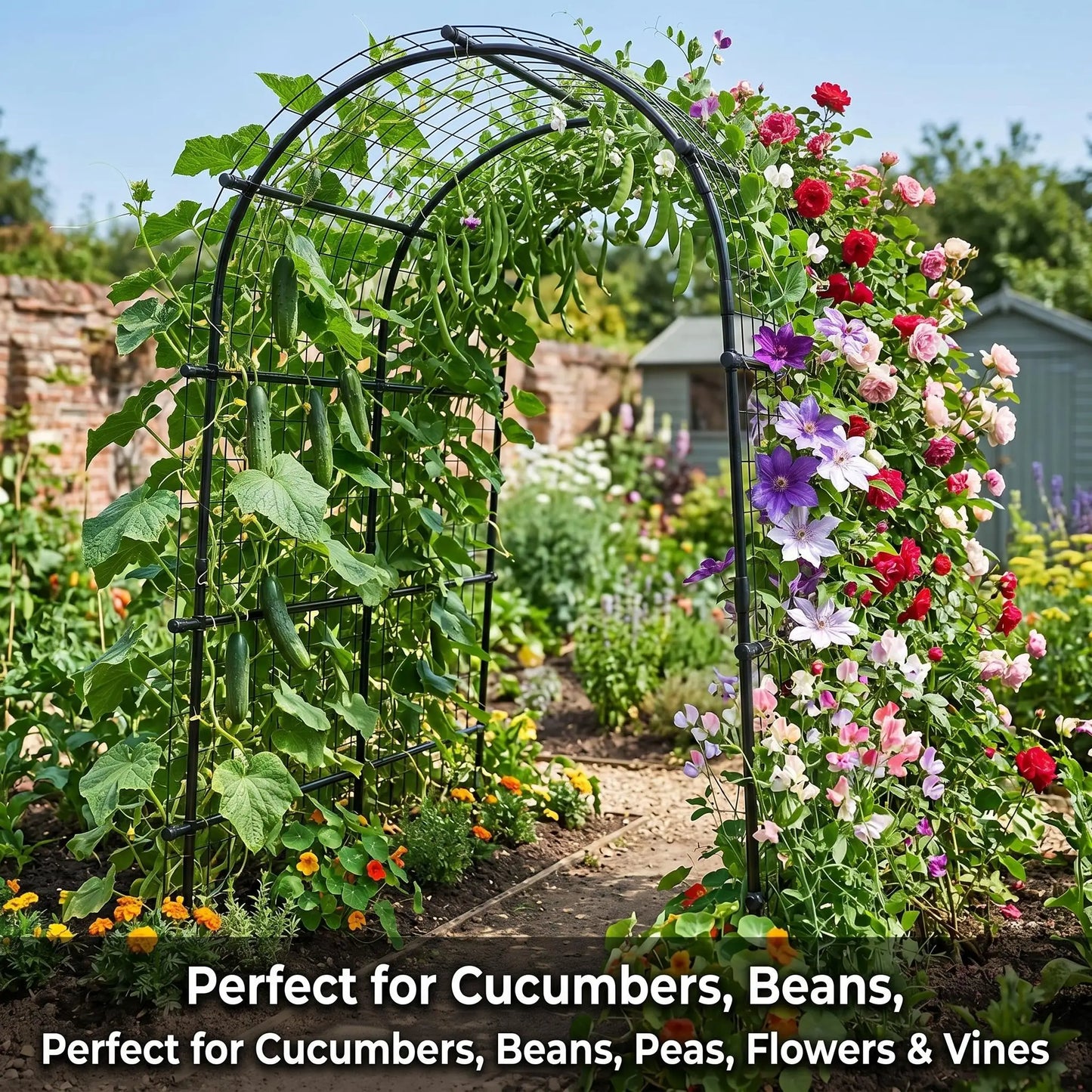 Cucumber Trellis For Raised Bed U Shape Garden Climbing Plants