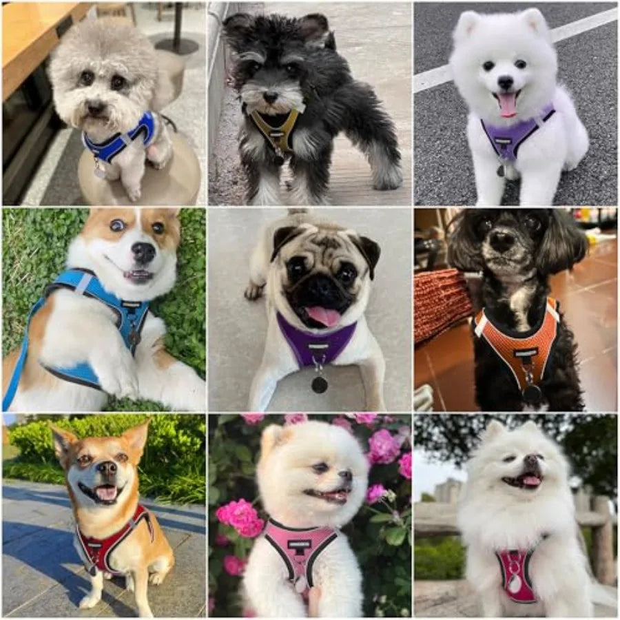 Dog Harness And Leash Set No Pull Reflective Breathable Vest