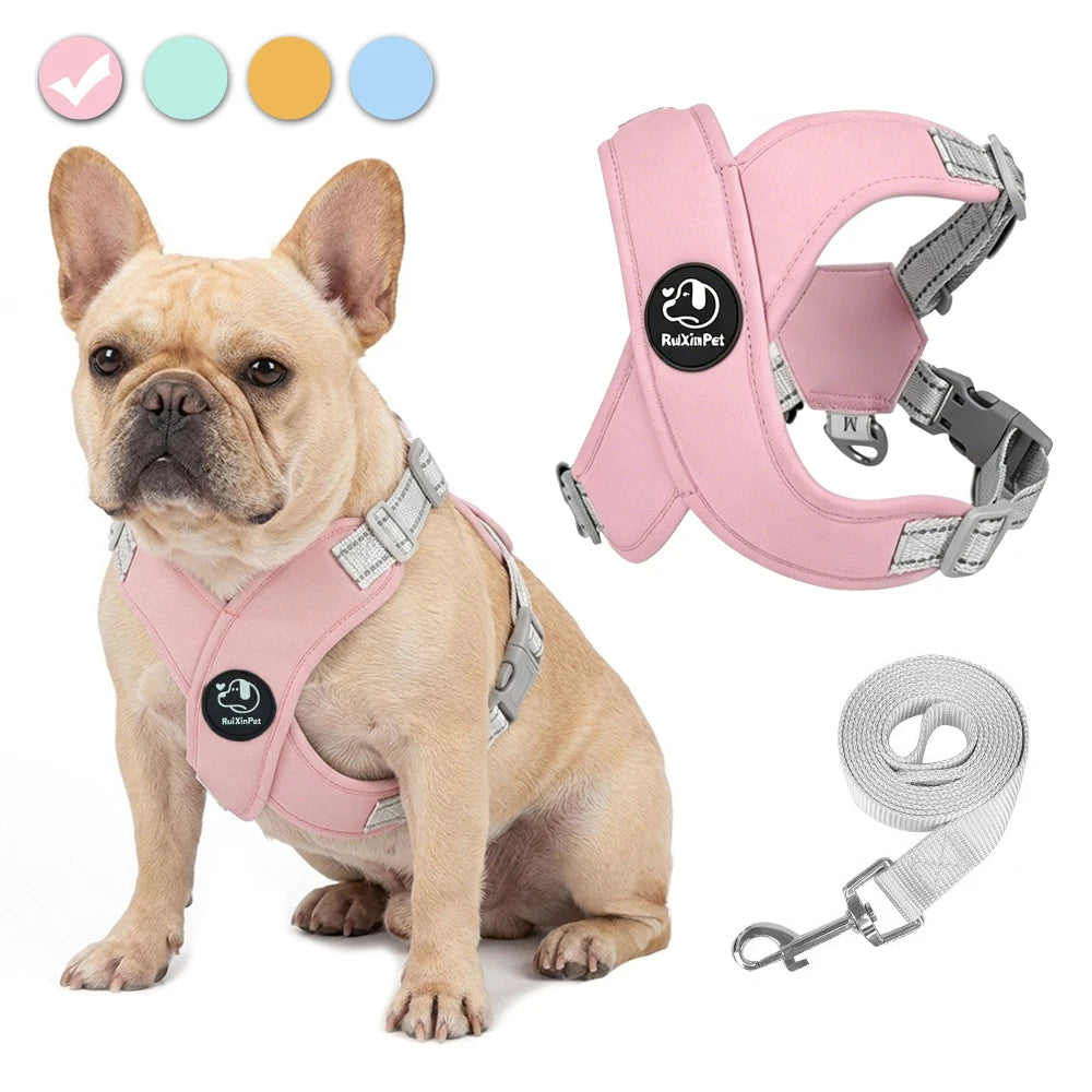 Reflective Adjustable Dog Harness Leash Set With Metal D Ring Chest Strap