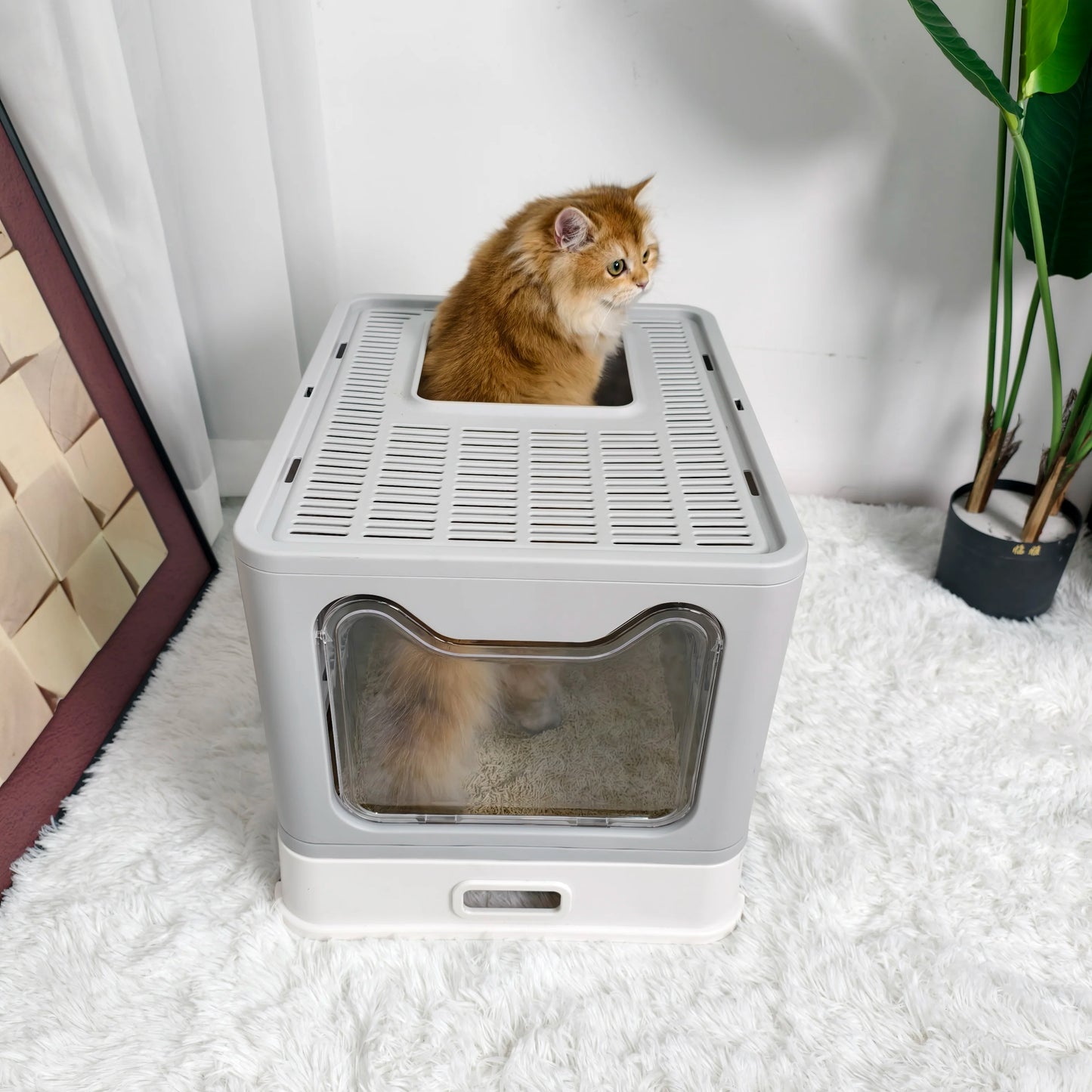 Large Front Entry Cat Litter Box With Top Exit Lid And Scoop