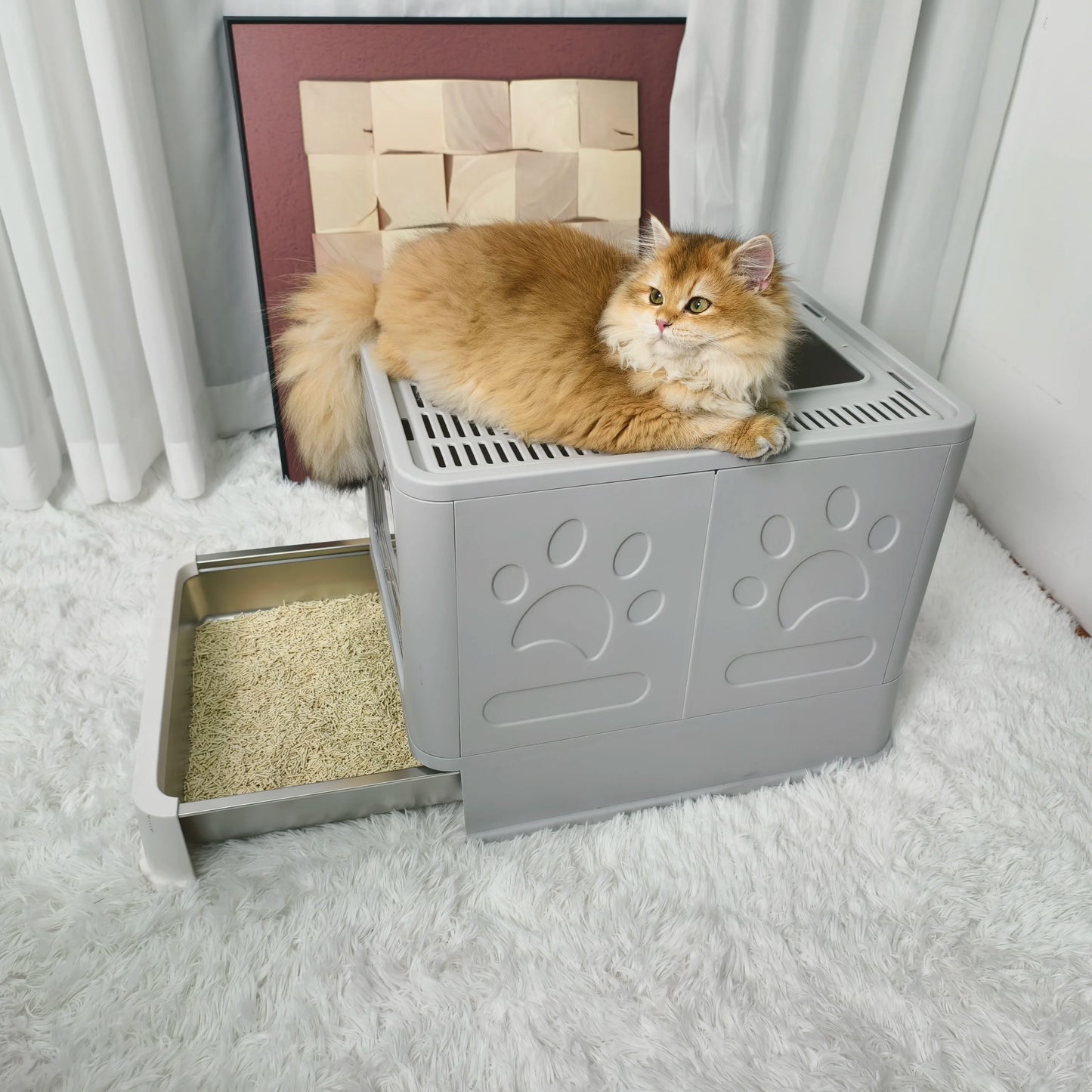 Large Front Entry Cat Litter Box With Top Exit Lid And Scoop