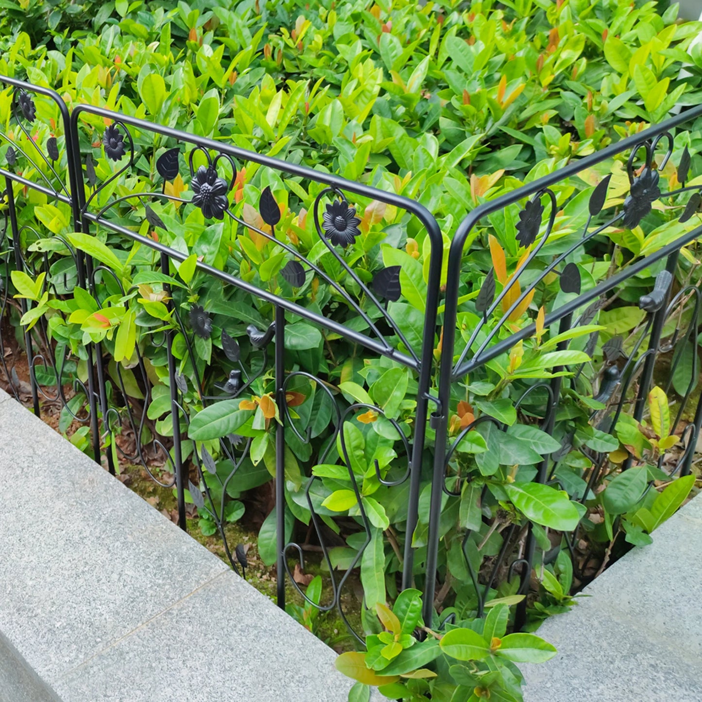 Five Pack Steel Decorative Garden Fence Panels Metal Border