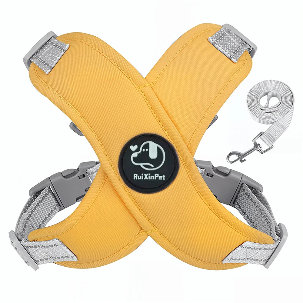 Reflective Adjustable Dog Harness Leash Set With Metal D Ring Chest Strap