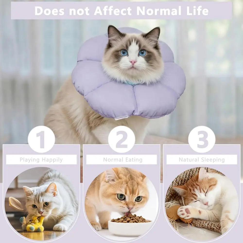 Cat Postoperative Cone Collar For Recovery And Licking Protection