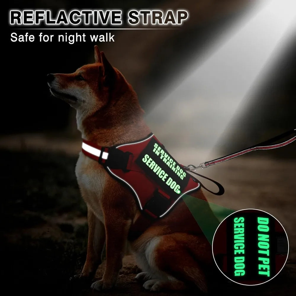 Service Dog Harness And Leash Set With Patches Reflective Handle