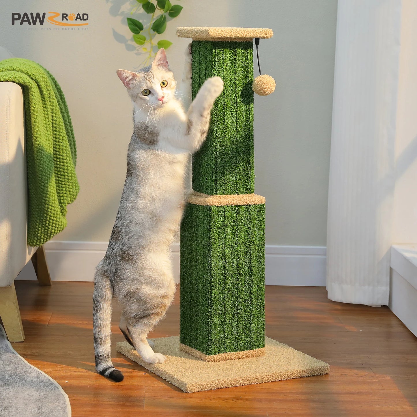 PAWZ Road Cat Scratching Post For Indoor Cats Durable Toy