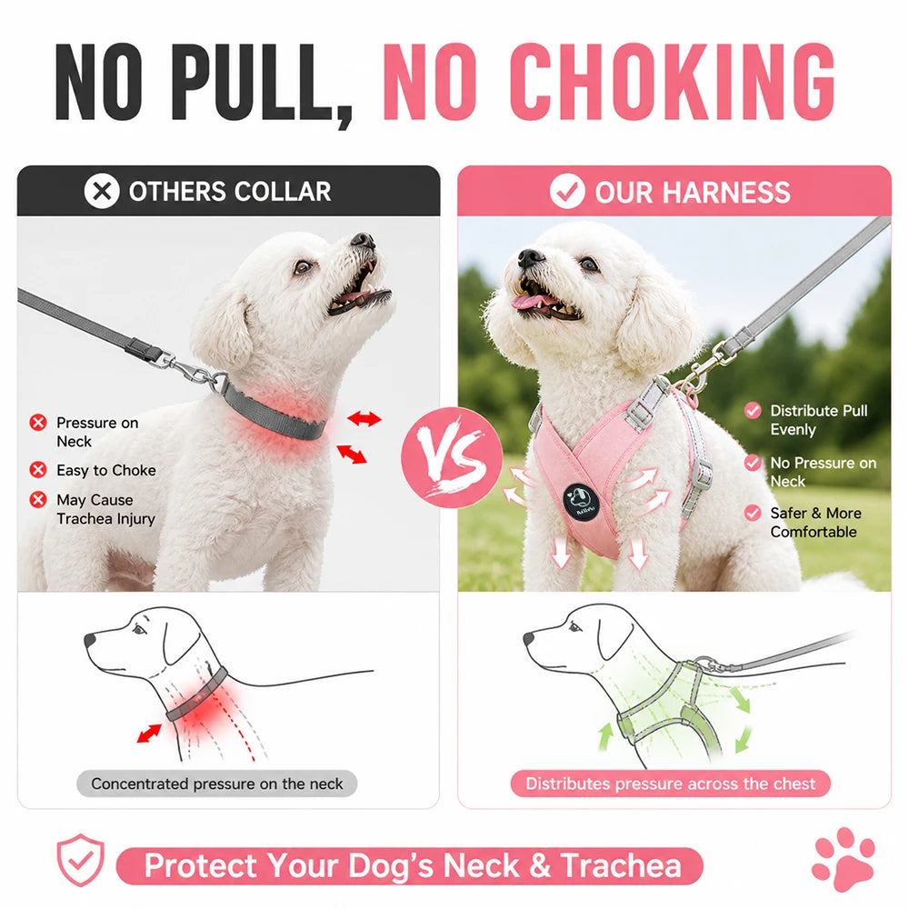 Reflective Adjustable Dog Harness Leash Set With Metal D Ring Chest Strap