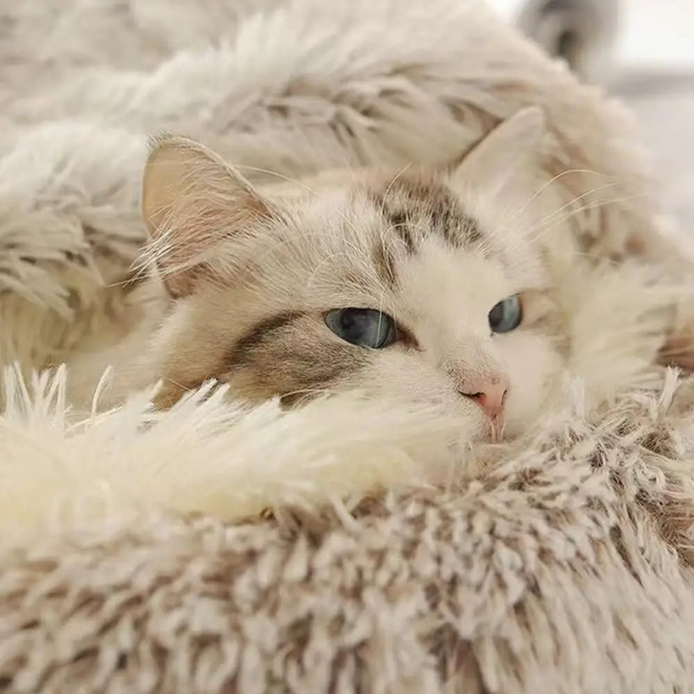 Winter Plush Cat Bed Round Cushion Nest For Pets Warm
